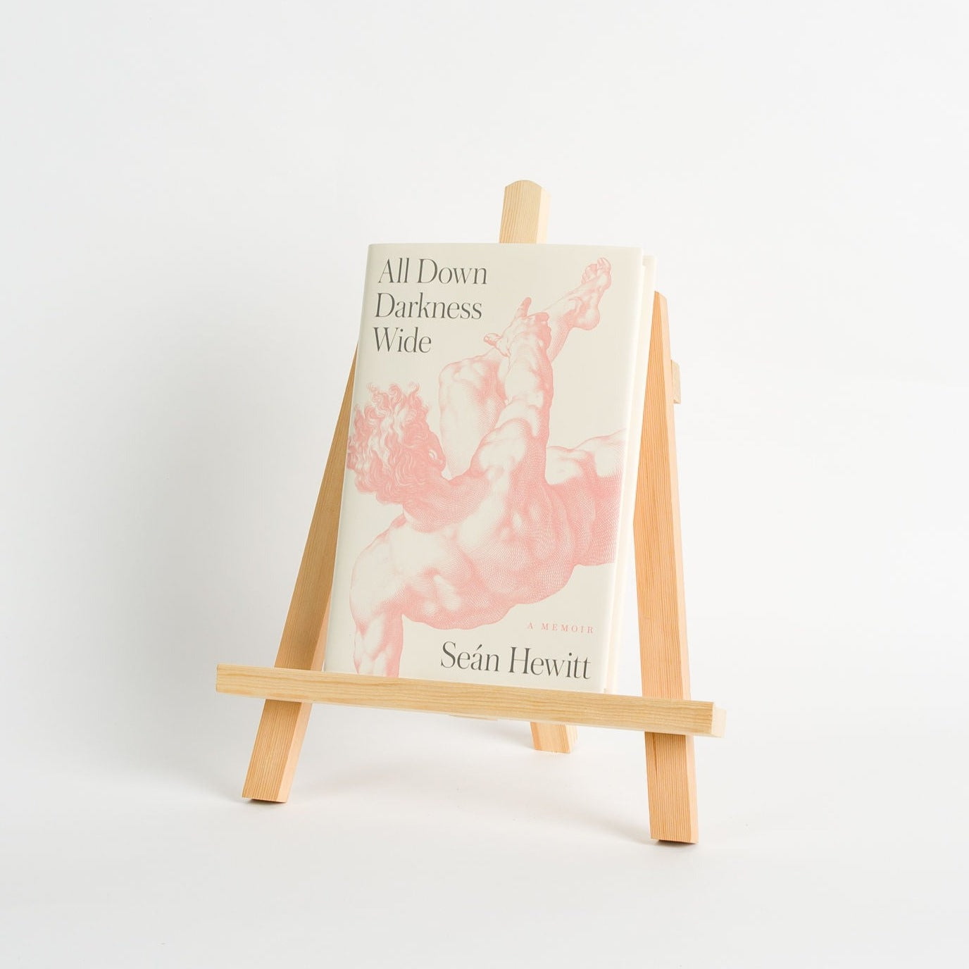 All Down Darkness Wide, Sean Hewitt – Press Shop