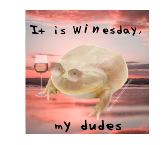 It's Winesday My Dudes Magnet