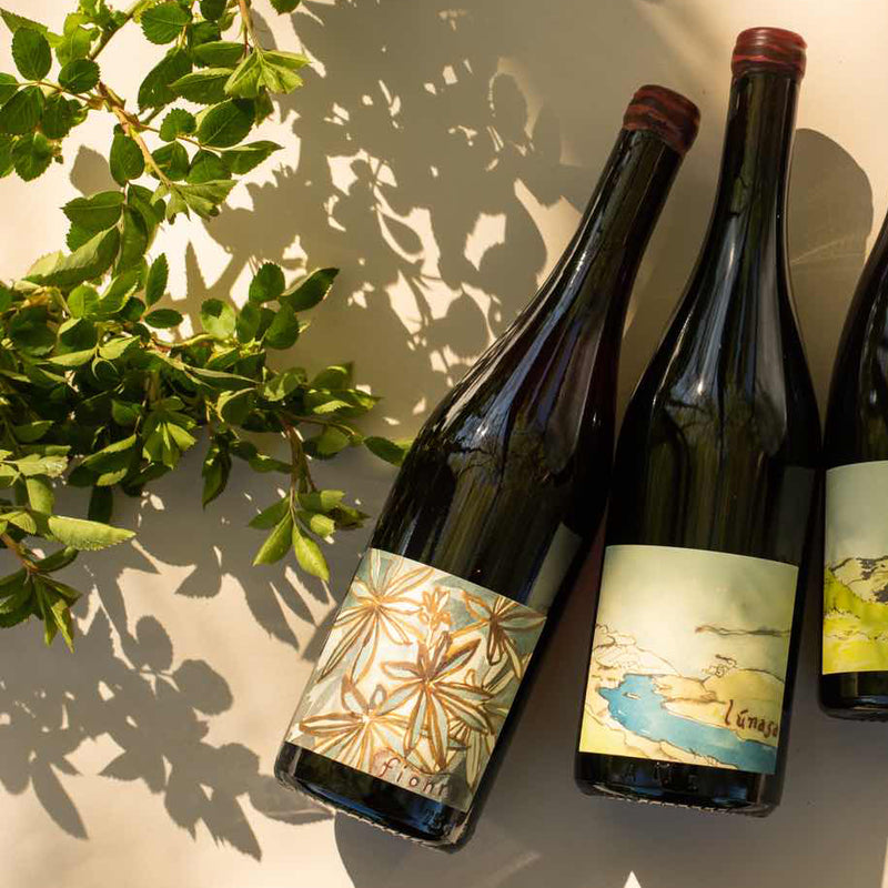 Hiyu Tzum Fionn “Spring Ephemeral” Columbia Valley Red Wine, 2024, 750ml