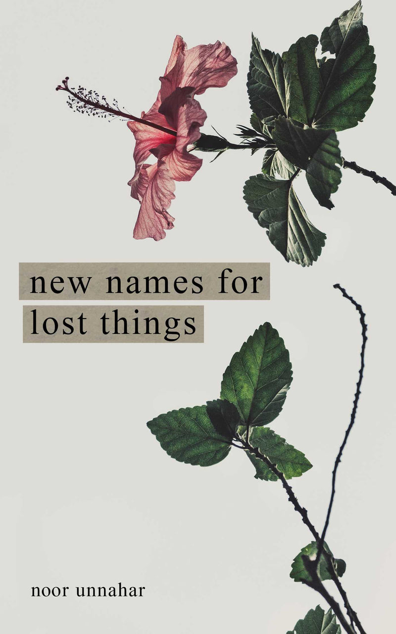 New Names for Lost Things, Noor Annahar