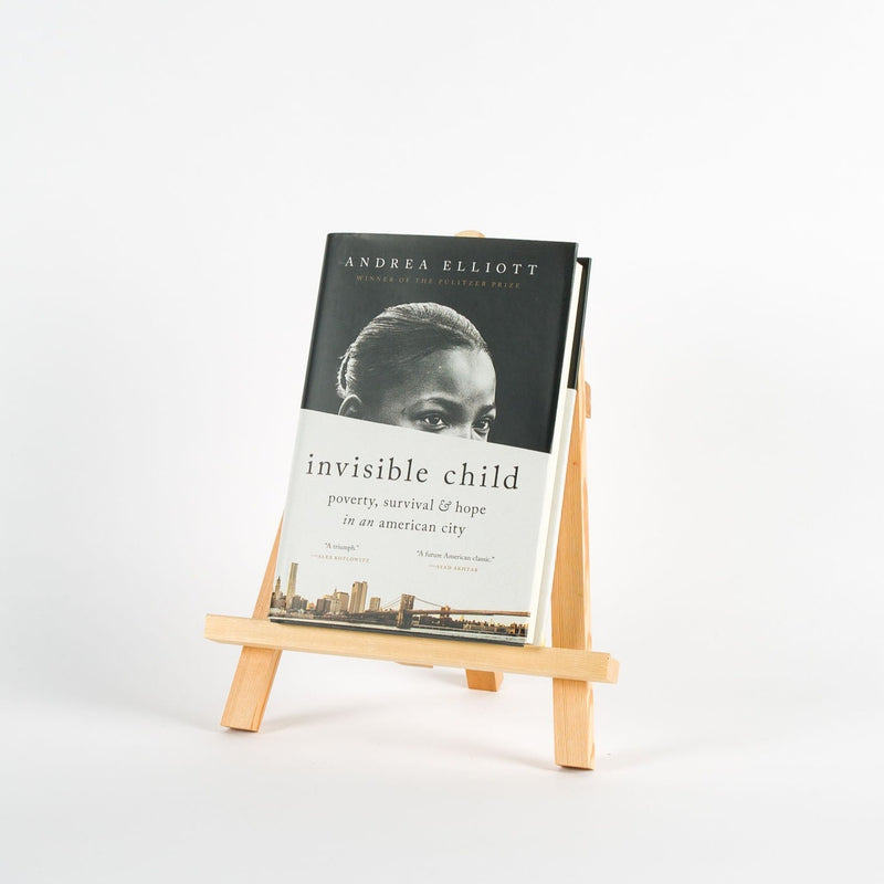 Invisible Child, Andrea Elliott