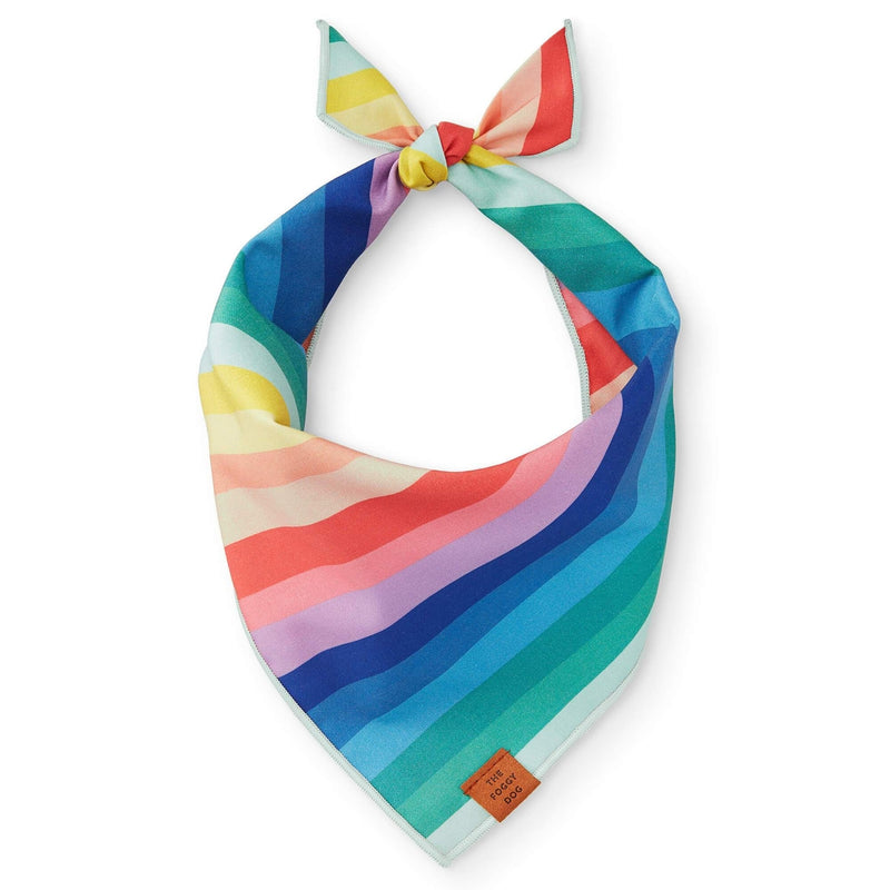 Rainbow Dog Bandana