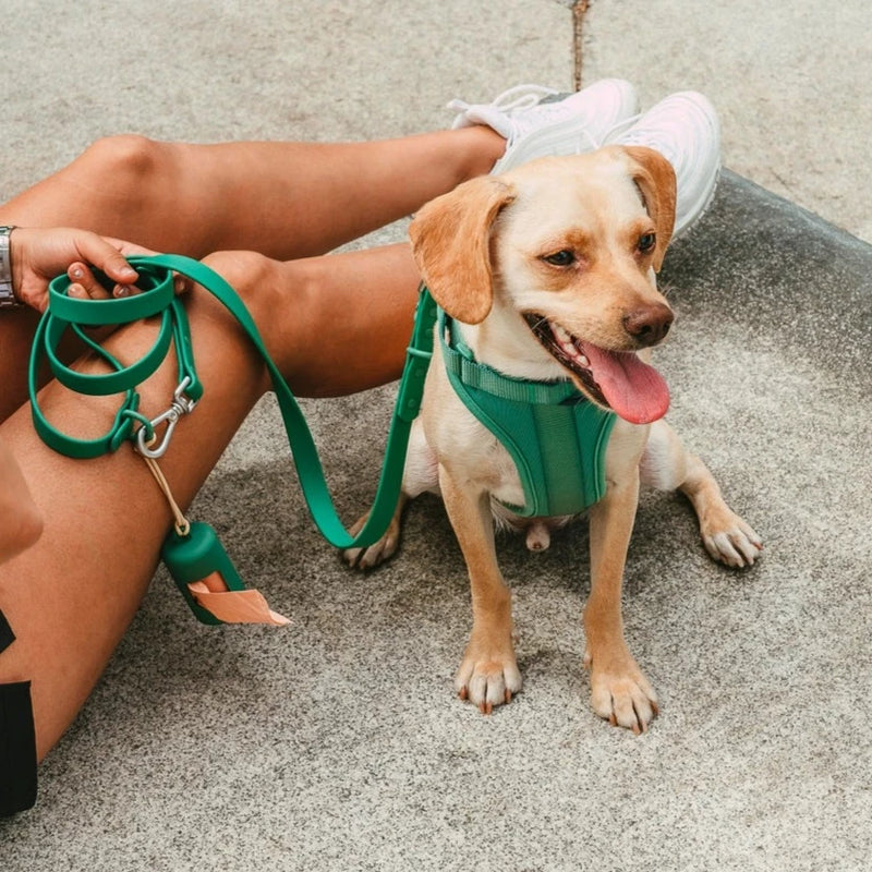 Poop Bag Carrier