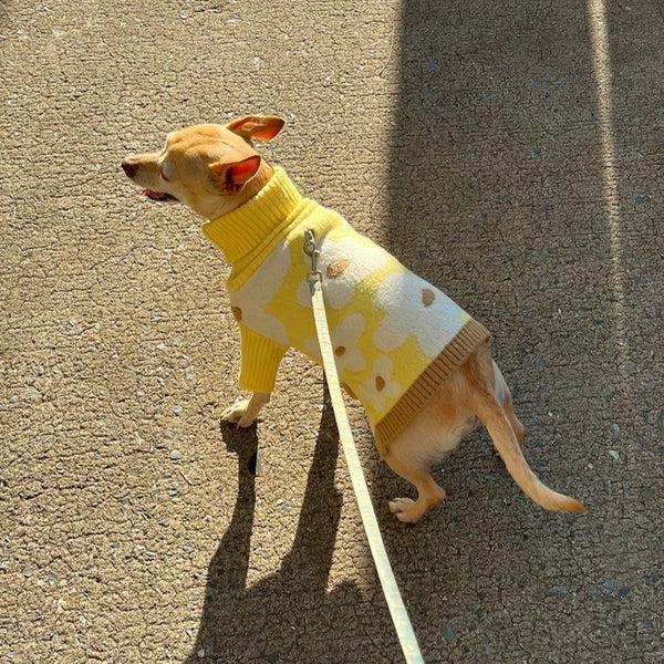 Sunny Side Sweater