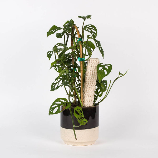 Stackable Plant Pole