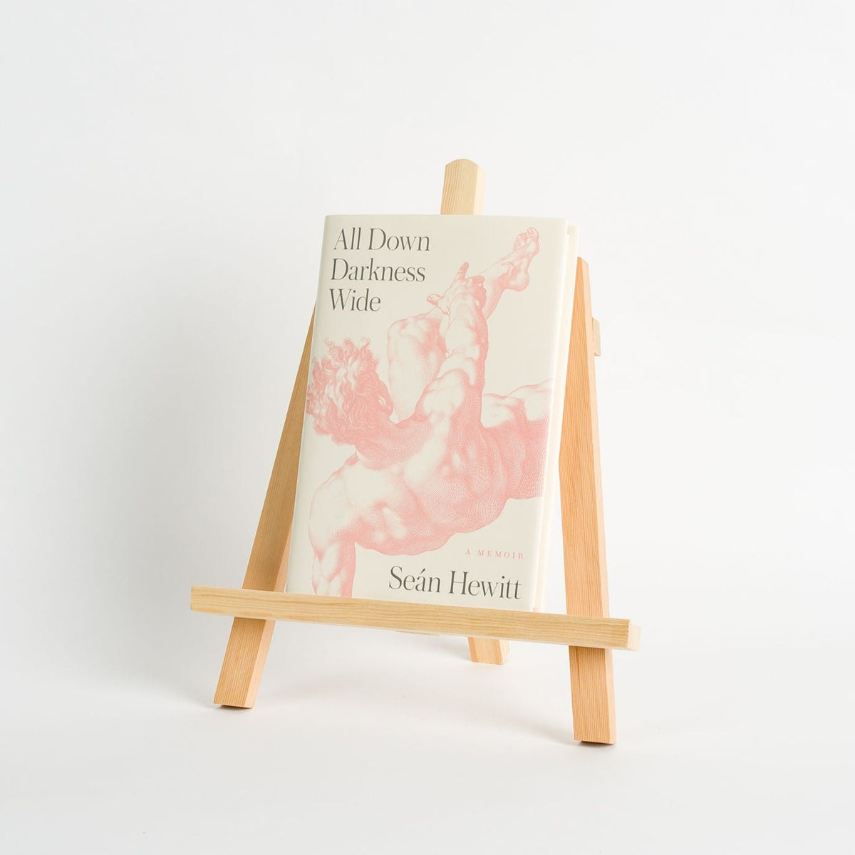 All Down Darkness Wide, Sean Hewitt – Press Shop