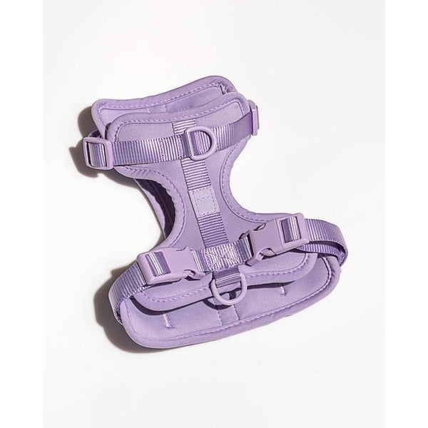 Adjustable Comfort Dog Harness